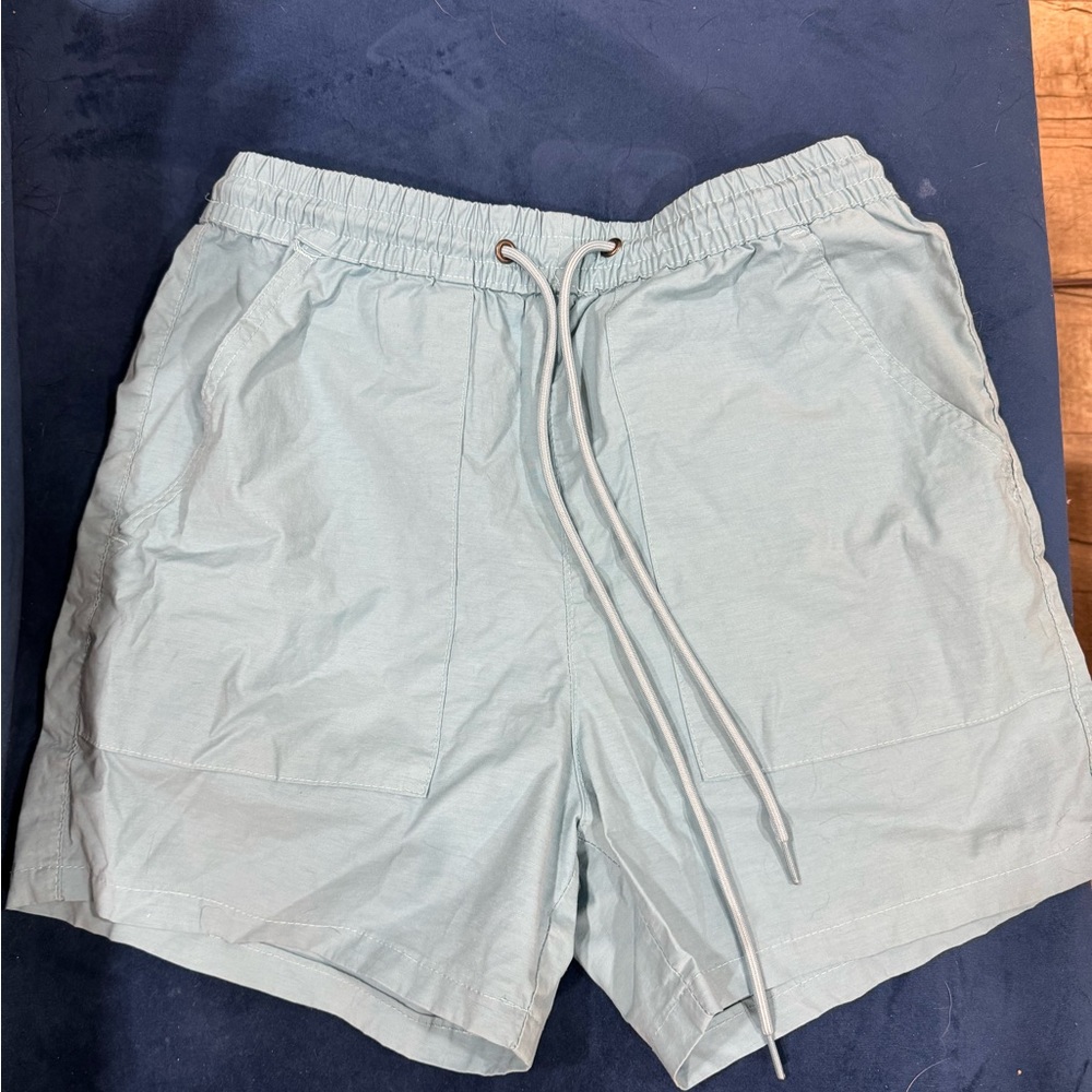 Super cute light blue shorts. PACSUN Size S